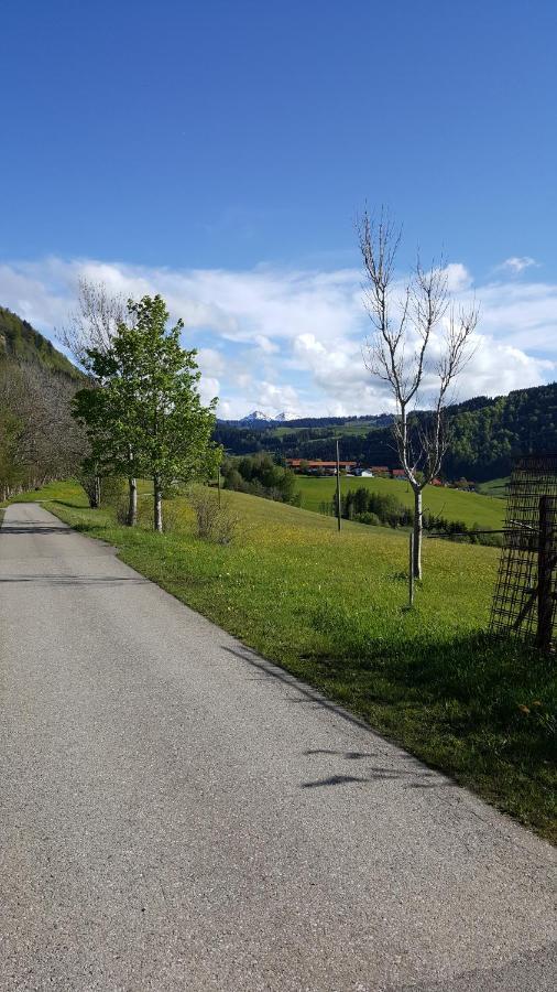 Fewo Friado Im Ferienpark Oa - Ohne Zusatzkosten Nach Anreise - Mit Hallenbad, W-Lan, Pkw-Garage, Kurtaxe Mit Allgaeu-Walser-Pass, Bett- Und Handtuch-Waesche Sowie End-Reinigung Missen-Wilhams Kültér fotó